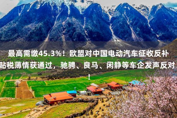 最高需缴45.3%！欧盟对中国电动汽车征收反补贴税薄情获通过，驰骋、良马、闲静等车企发声反对！