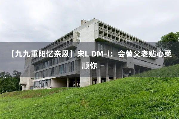 【九九重阳忆亲恩】宋L DM-i：会替父老贴心柔顺你