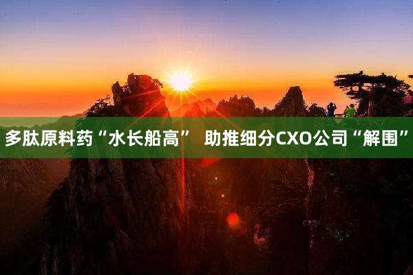 多肽原料药“水长船高”  助推细分CXO公司“解围”