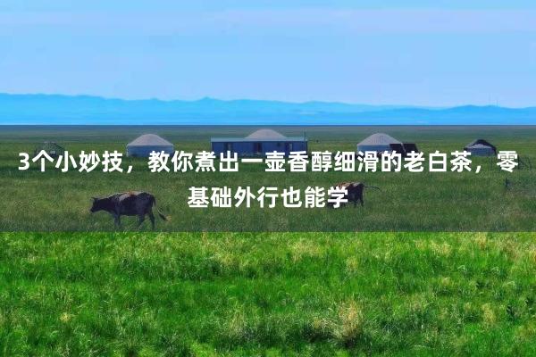 3个小妙技，教你煮出一壶香醇细滑的老白茶，零基础外行也能学