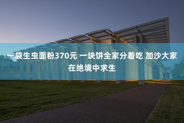 一袋生虫面粉370元 一块饼全家分着吃 加沙大家在绝境中求生