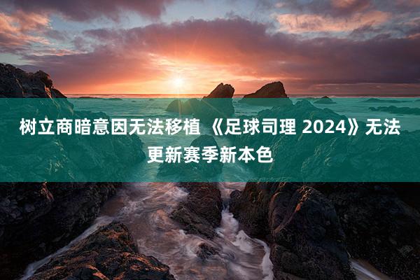 树立商暗意因无法移植 《足球司理 2024》无法更新赛季新本色