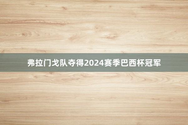 弗拉门戈队夺得2024赛季巴西杯冠军