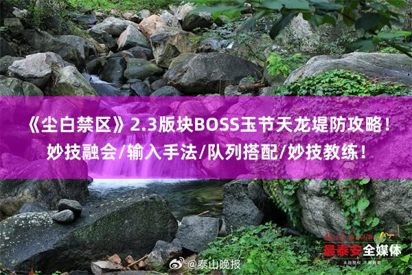 《尘白禁区》2.3版块BOSS玉节天龙堤防攻略！妙技融会/输入手法/队列搭配/妙技教练！